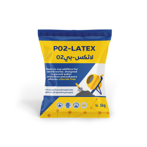 p02 latex