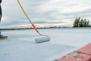 PAINTEX® - waterproofing coating paintex® waterproofing coating